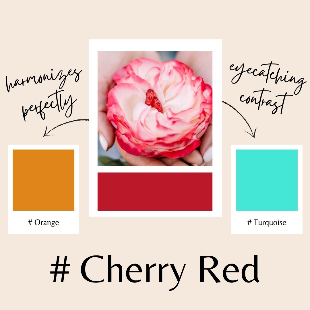 Piccolo Creolen Bari in Rot